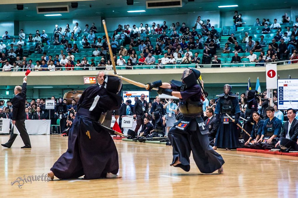 Kendo world championship