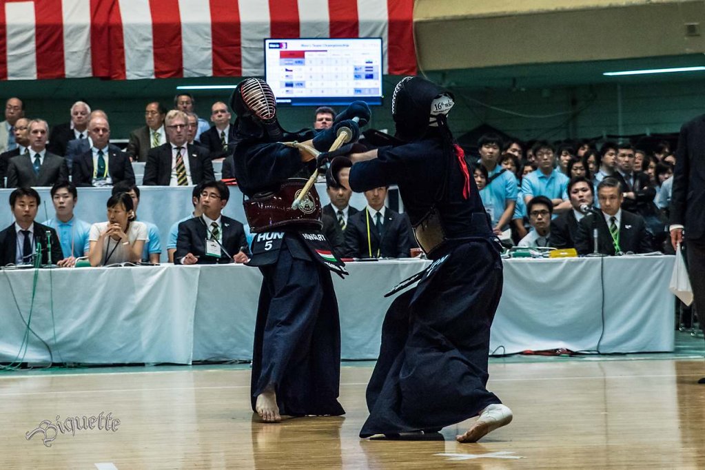 Kendo world championship